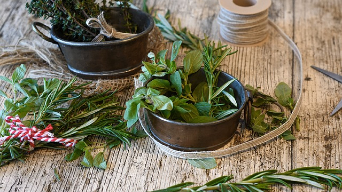 20 ziół i przypraw, które oczyszczają krew z toksyn: Naturalna droga do zdrowia