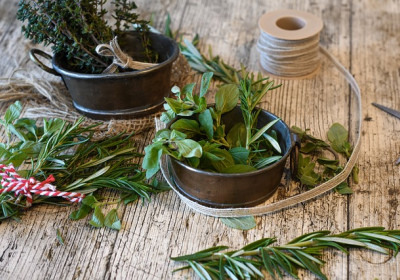 20 ziół i przypraw, które oczyszczają krew z toksyn: Naturalna droga do zdrowia