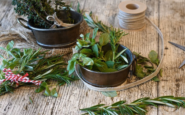 20 ziół i przypraw, które oczyszczają krew z toksyn: Naturalna droga do zdrowia